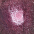 ACT3 ベロア フレアパンツ レディース