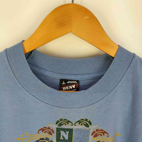 フルーツオブザルーム FRUIT OF THE LOOM 90s USA製 シングルステッチ NIAGARA FALLS プリントTシャツ メンズ import:L