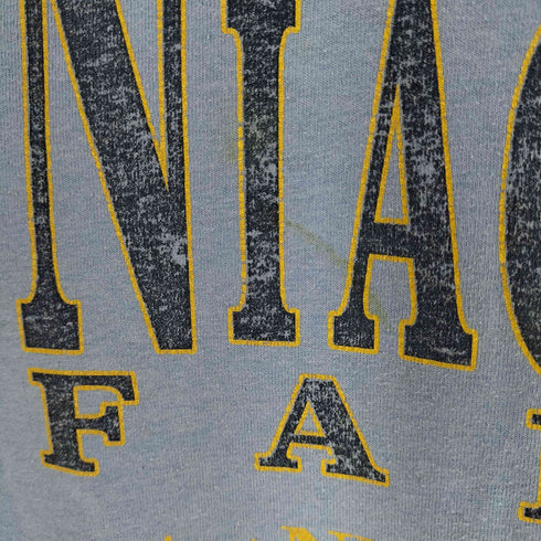 フルーツオブザルーム FRUIT OF THE LOOM 90s USA製 シングルステッチ NIAGARA FALLS プリントTシャツ メンズ import:L