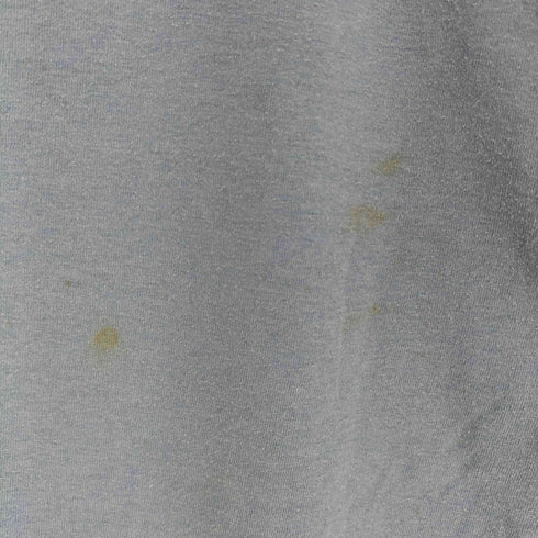 フルーツオブザルーム FRUIT OF THE LOOM 90s USA製 シングルステッチ NIAGARA FALLS プリントTシャツ メンズ import:L