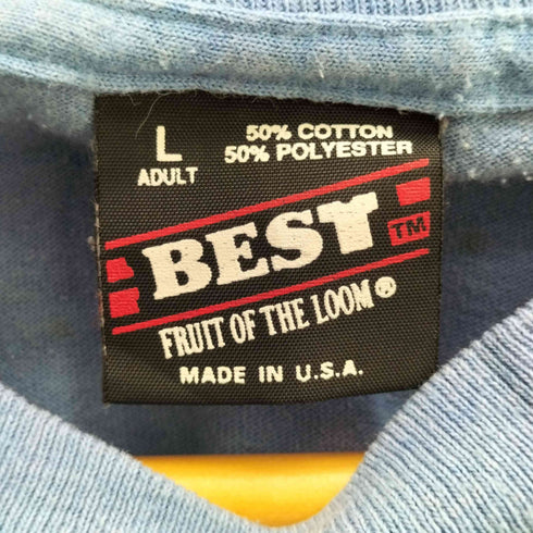 フルーツオブザルーム FRUIT OF THE LOOM 90s USA製 シングルステッチ NIAGARA FALLS プリントTシャツ メンズ import:L