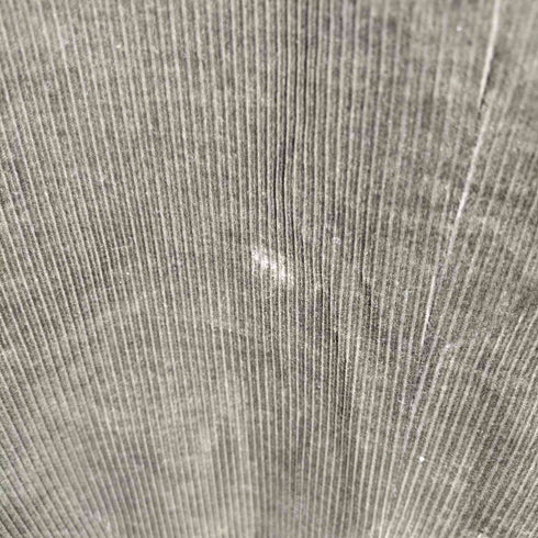 ラコステ LACOSTE コーデュロイ 2Bテーラードジャケット メンズ 50/4