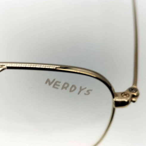 ナーディーズ THE NERDYS ×VERY NERD / VERY NERDYS /2022 Eyewear ダブルネーム ベリーナーディーズ ウェリントン サングラス メンズ