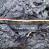 トミーヒルフィガー TOMMY HILFIGER ワンポイントロゴ ジップアップ パーカー 裏地ボア メンズ import:XL