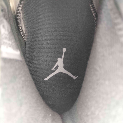 ジョーダンブランド JORDAN BRAND Air Jordan 6 Cool Grey エアジョーダン 6 クールグレイ スニーカー メンズ JPN:28.5