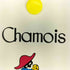CHAMOIS フラワーシアーシャツ レディース 11号