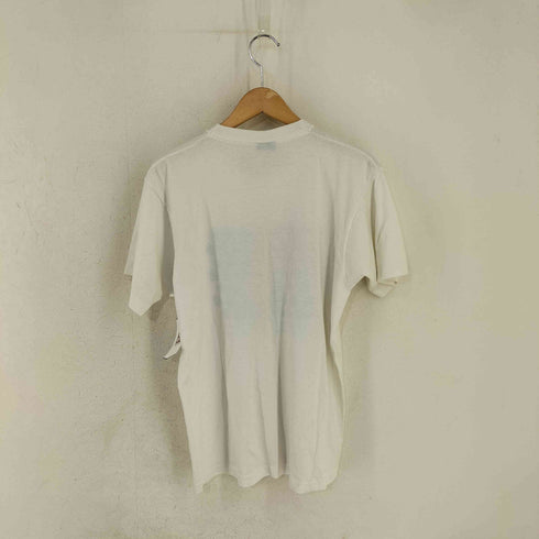 スクリーンスターズ SCREEN STARS 90s 黒タグ MADE IN USA フロントプリントTシャツ ブルーベリー メンズ import:L