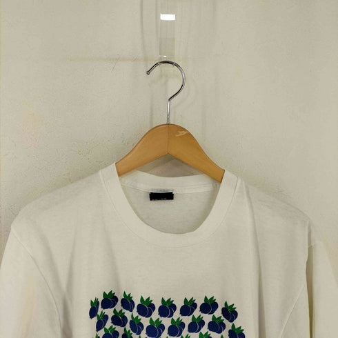 スクリーンスターズ SCREEN STARS 90s 黒タグ MADE IN USA フロントプリントTシャツ ブルーベリー メンズ import:L
