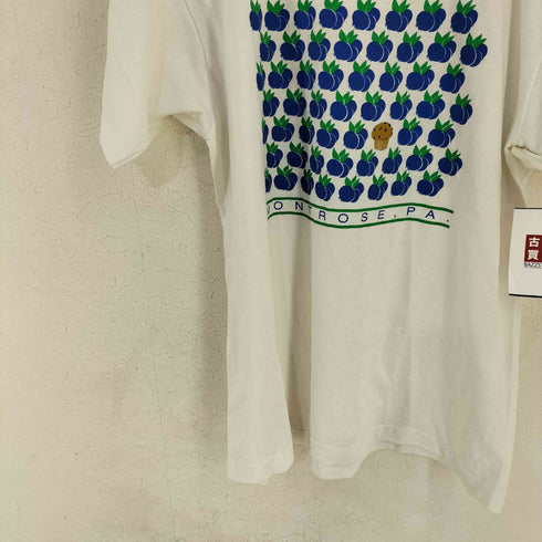 スクリーンスターズ SCREEN STARS 90s 黒タグ MADE IN USA フロントプリントTシャツ ブルーベリー メンズ import:L