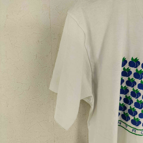 スクリーンスターズ SCREEN STARS 90s 黒タグ MADE IN USA フロントプリントTシャツ ブルーベリー メンズ import:L