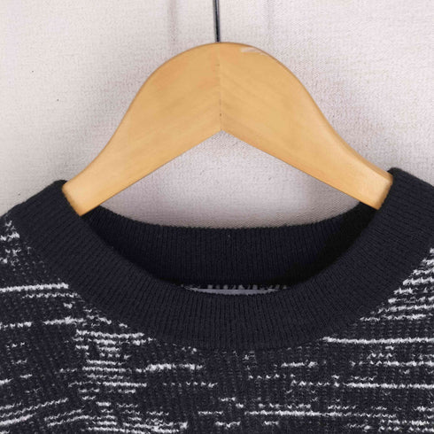 ザラ ZARA クルーネック アクリル ニット メンズ import:L