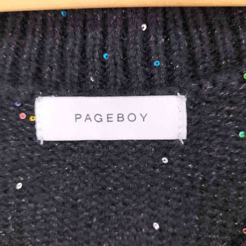 ページボーイ PAGEBOY Vネックラメデザインクロップドニット レディース FREE