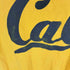 チャンピオン Champion 00s 2色タグ メキシコ製 Cal カレッジプリント S/S Tシャツ メンズ import:L