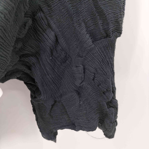 ハートイッセイミヤケ Haat ISSEY MIYAKE コットンプリーツカットソー レディース JPN:2