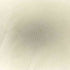 ジャーナルスタンダードレリューム JOURNAL STANDARD relume 2023AW クルーネック スリットスウェット メンズ JPN:M
