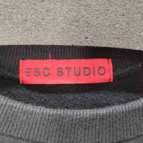 イーエスシーステュディオ ESC STUDIO バックプリントクロップドスウェットプルオーバー 袖ジップ 韓国 ストリート メンズ