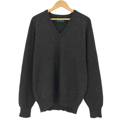 ALAN PAINE イングランド製 Vネック ウール ニット メンズ EUR:50