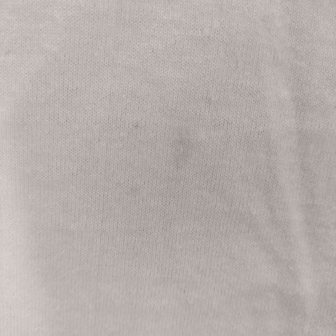 フルーツオブザルーム FRUIT OF THE LOOM プリントTシャツ メンズ JPN:L