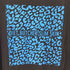マルセロバーロン MARCELO BURLON コラボTシャツ レオパード メンズ FREE