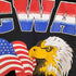 ジャージーズ JERZEES USA製 CWA イーグルプリント クレイジーパターン クルーネックスウェット メンズ 2X