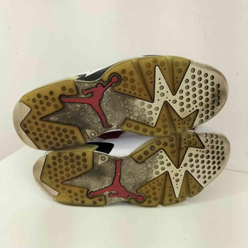 ジョーダンブランド JORDAN BRAND Air Jordan 6 Carmine メンズ JPN:27