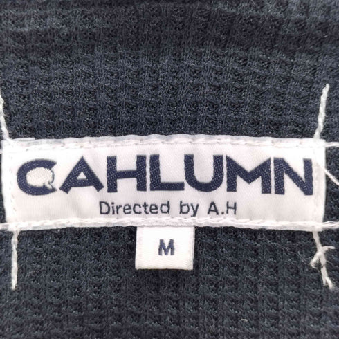 CAHLUMN Heavy Weight Jersey Thermal Lined Zip Hoodie メンズ JPN:M
