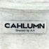 CAHLUMN カットソー メンズ JPN:L