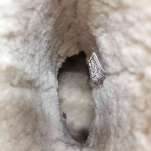 アグオーストラリア UGG Australia CLASSIC SHORT 2 レディース JPN:23