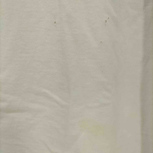 フルーツオブザルーム FRUIT OF THE LOOM 90s アート プリント クルーネック Tシャツ メンズ import:XXL