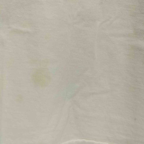 フルーツオブザルーム FRUIT OF THE LOOM 90s アート プリント クルーネック Tシャツ メンズ import:XXL