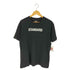 ザノースフェイス THE NORTH FACE STANDARD S/S TEE スタンダード Tシャツ メンズ import:XL