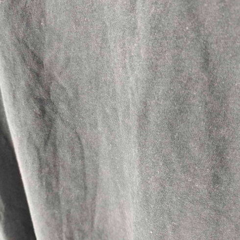ザノースフェイス THE NORTH FACE STANDARD S/S TEE スタンダード Tシャツ メンズ import:XL