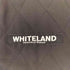 ホワイトランド WHITELAND プリント デニムジャケット メンズ FREE