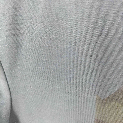 ザノースフェイス THE NORTH FACE ネイチャーフォトTEE メンズ import:M