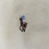 ポロバイラルフローレン Polo by RALPH LAUREN BDオックスフォードシャツ メンズ 18