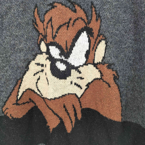 キャラクター ニット メンズ import:M