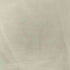 fallett S/S アニマルプリントTシャツ 猫 メンズ JPN:M