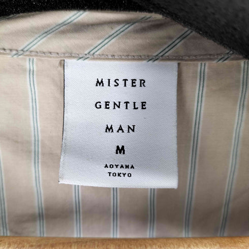 ミスタージェントルマン MISTERGENTLEMAN バックストライプ 異素材切替S/Sカットソー メンズ JPN:M