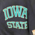 チャンピオン Champion 90S REVERSE WEAVE 刺繍タグ IOWA STATE2段ラバープリント L/S スウェット メンズ JPN:XXL