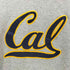 チャンピオン Champion AUTHENTIC ATHLETIC APPAREL CAL 刺繍フーディー メンズ JPN:L