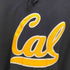チャンピオン Champion AUTHENTIC ATHLETIC APPAREL CAL 刺繍フーディー メンズ JPN:M