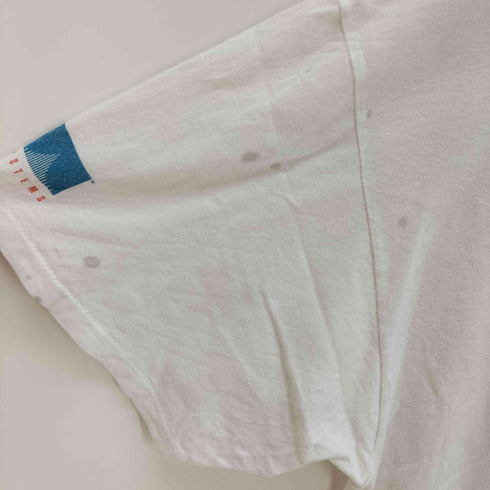 ヘインズ Hanes USA製 シングルステッチ アニマルプリント ポケットTシャツ メンズ JPN:XL