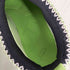 アグ UGG Venture daze slide レディース JPN:23