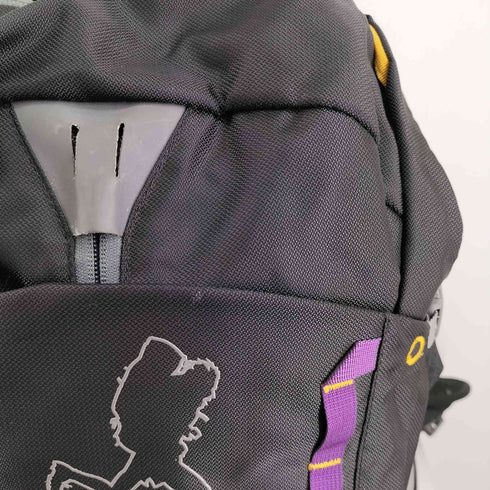 DANA DESIGN PAMIRS 35 メンズ 35L