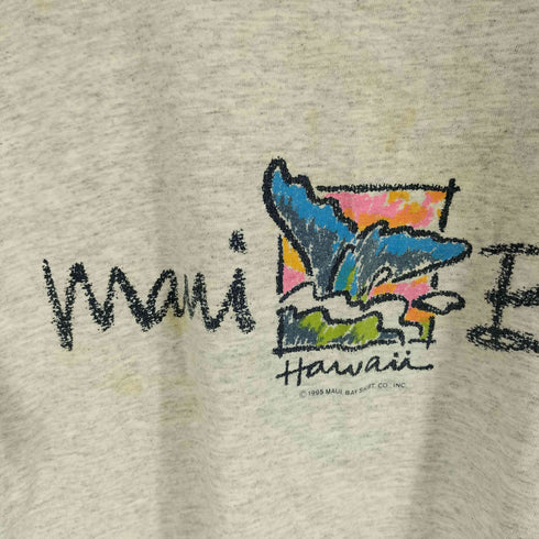 90S MAUI BAY USA製 Hawaii プリント クルーネック Tシャツ 1995年製 シングルステッチ メンズ import:XL