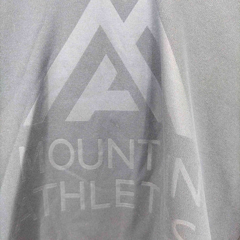 ザノースフェイス THE NORTH FACE SURGENT HOODIE メンズ import:XL