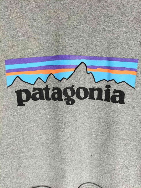 パタゴニア patagonia 22AW P-6ロゴ アップライザル プルオーバーパーカー メンズ import:L
