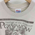 ヘインズ Hanes 00S BEEFY-T Festival Of Americas Pow wow プリント S/S Tシャツ メンズ import:M