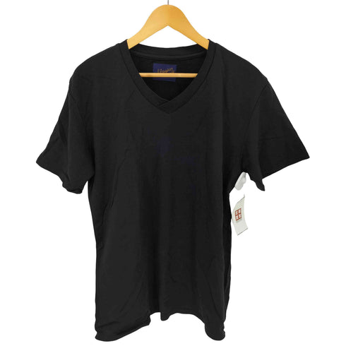 SLOWSPUN VネックTシャツ メンズ