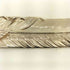 Taro Washimi L flight feather 01 L flight heart feather 01 opal 6×8 cup フェザーペンダント メンズ